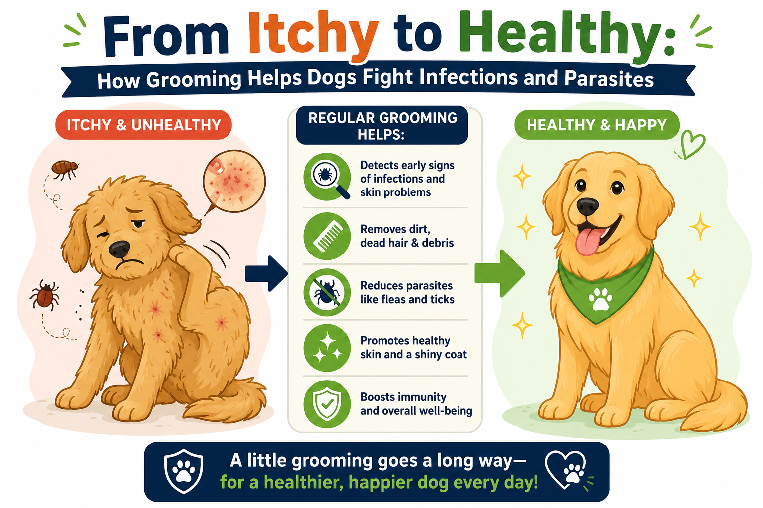 From Itchy to Healthy: How Grooming Helps Dogs Fight Infections and Parasites