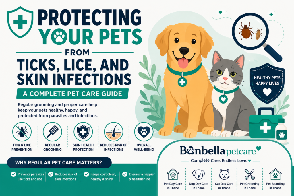 Protecting-Your-Pets-from-Ticks-Lice-and-Skin-Infections-A-Complete-Pet-Care-Guide